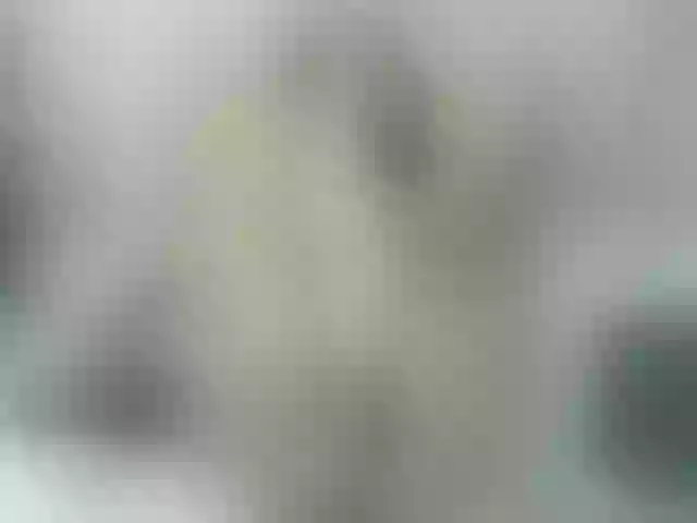 Live sex webcam photo for adharaebony #291510490