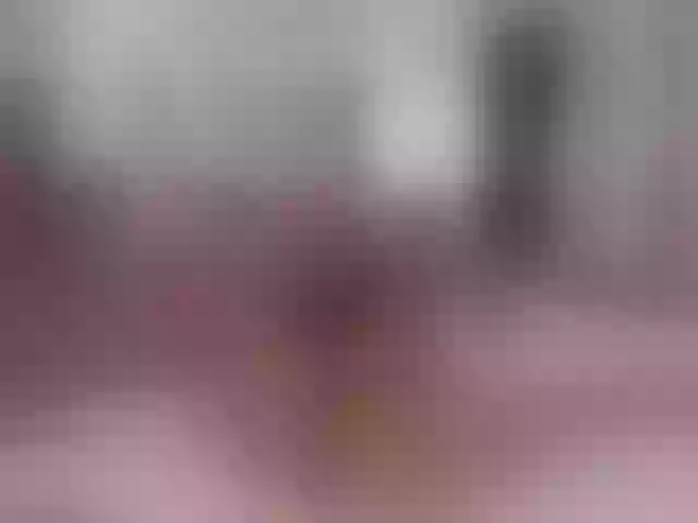 Live sex webcam photo for adonawet #291173985