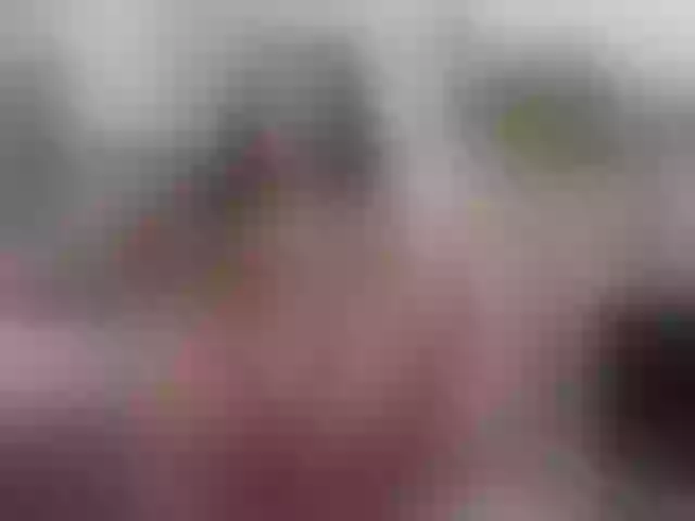 Live sex webcam photo for adonawet #291251948