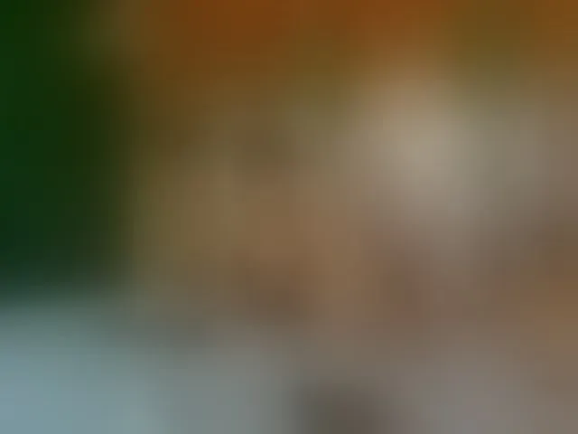 Live sex webcam photo for adonhix-firex #293717961