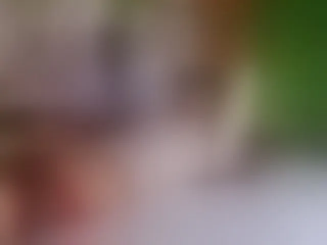 Live sex webcam photo for adonhix-firex #293746830