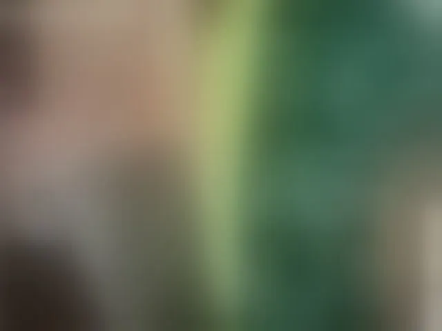 Live sex webcam photo for adrenalinse #292714665