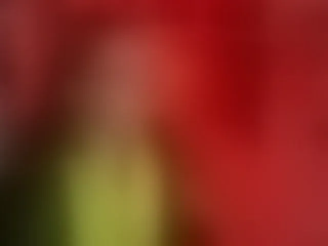 Live sex webcam photo for adrenalinse #293458015