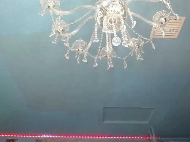 Live sex webcam photo for adrianna_fox #287953811