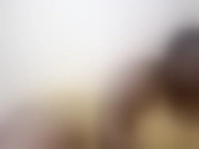 Live sex webcam photo for africangoddess #293108193