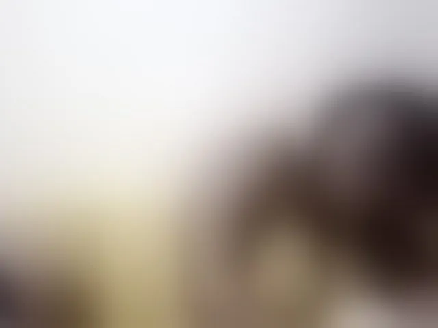 Live sex webcam photo for africangoddess #293110226