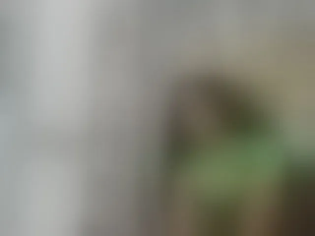 Live sex webcam photo for afrikan-diva #293749152