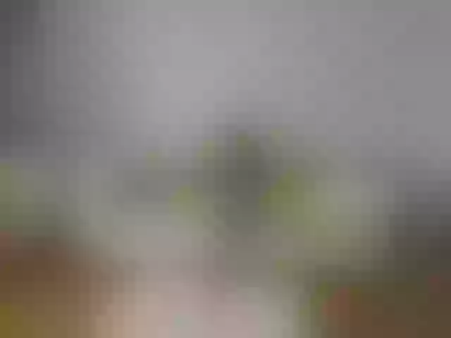 Live sex webcam photo for afrodita93 #273884063