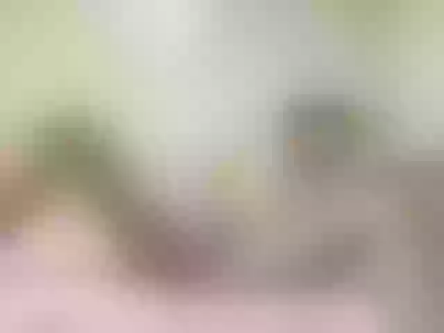Live sex webcam photo for aidmine #275685697