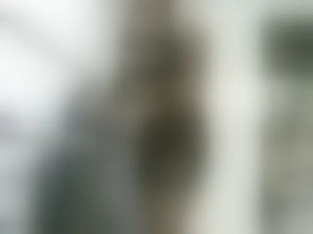 Live sex webcam photo for aisha5 #293572761