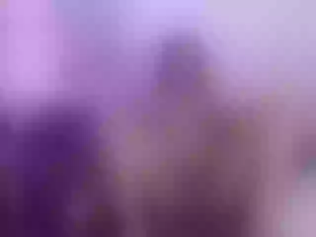 Live sex webcam photo for alanasexyhot #291455842