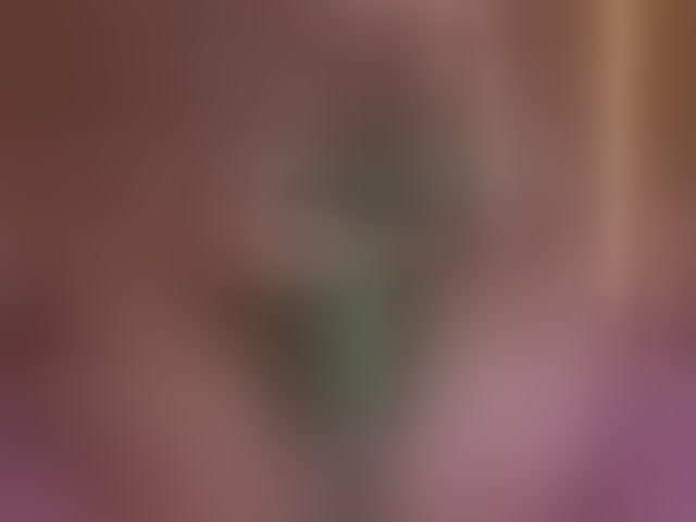 Live sex webcam photo for ale-evanz #294278297