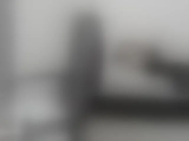 Live sex webcam photo for alejandramilf #293374752