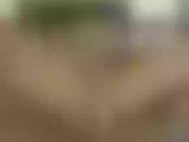 Live sex webcam photo for alex-salvatore #291199035