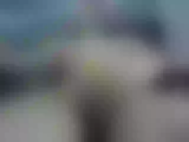 Live sex webcam photo for alex13hot1 #290489961