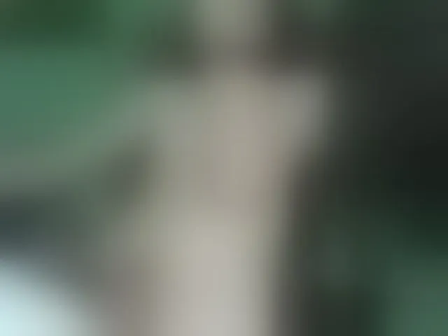 Live sex webcam photo for alex13hot1 #292029057