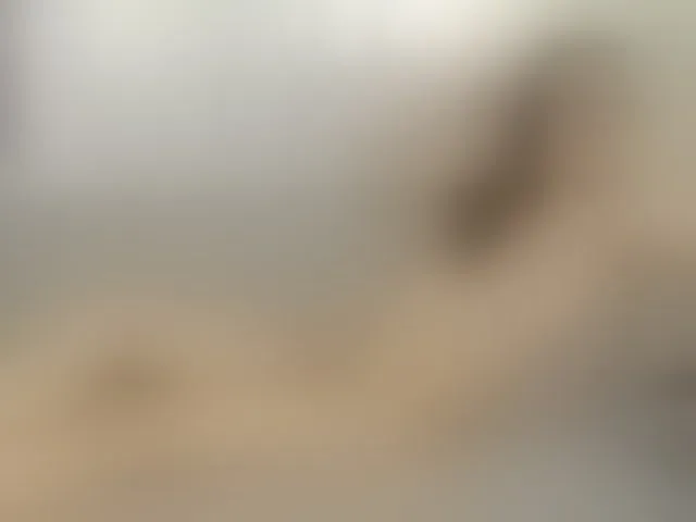 Live sex webcam photo for alfredajones #293873500