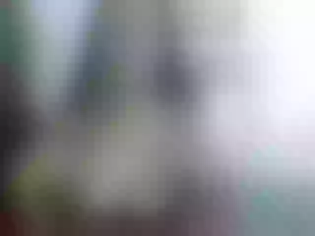 Live sex webcam photo for alice-pussi #290447865