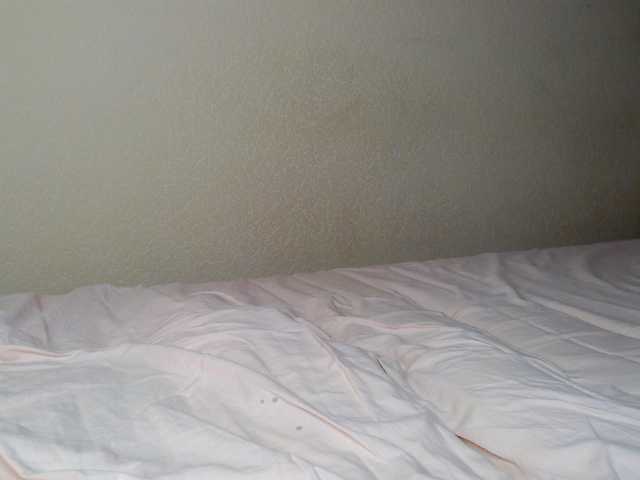 Live sex webcam photo for aliceTurner21 #292324135