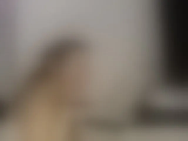 Live sex webcam photo for alicehorny #293703585
