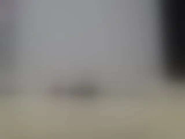 Live sex webcam photo for alicehorny #293770524