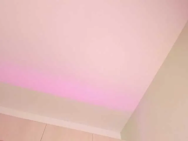 Live sex webcam photo for alicepipper #277473378