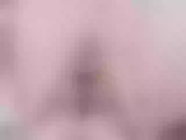 Live sex webcam photo for alicepipper #278001042