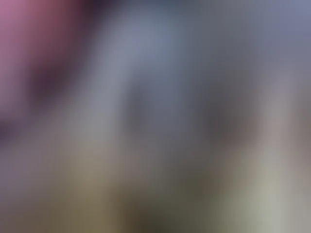 Live sex webcam photo for alisa877 #292298756