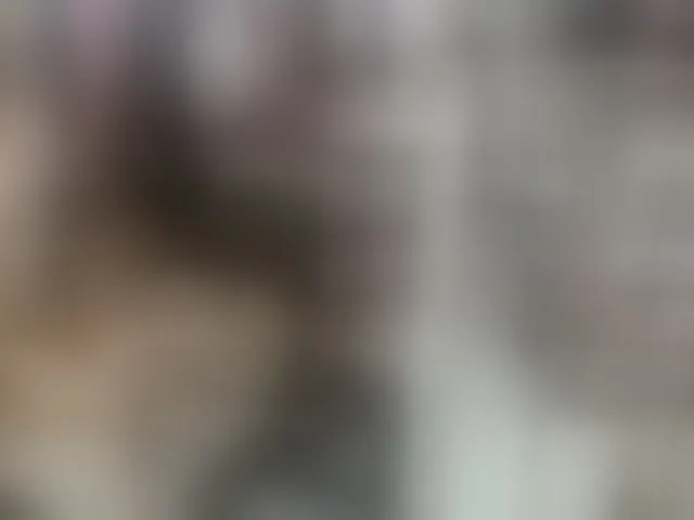 Live sex webcam photo for alison-miller #293024272