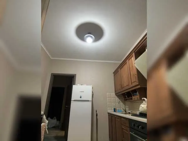 Live sex webcam photo for alizii #292209167