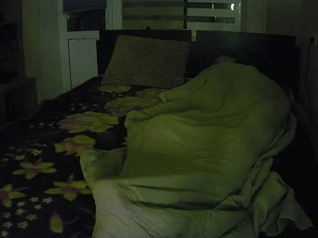 Live sex webcam photo for allmightIN #276664628