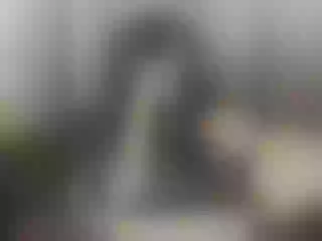 Live sex webcam photo for aloeloea #291985912