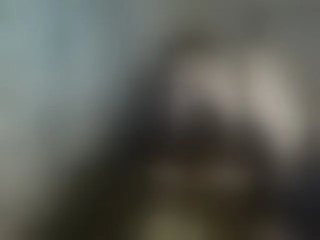 Live sex webcam photo for aloeloea #293542872