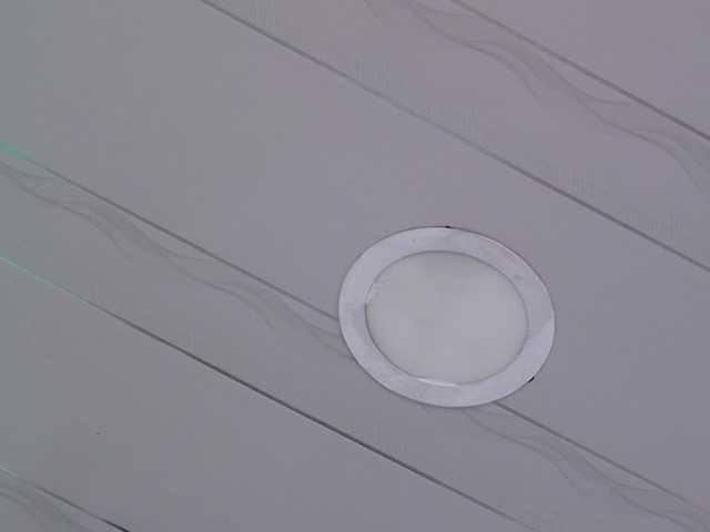 Live sex webcam photo for alondrasparrow #291925671