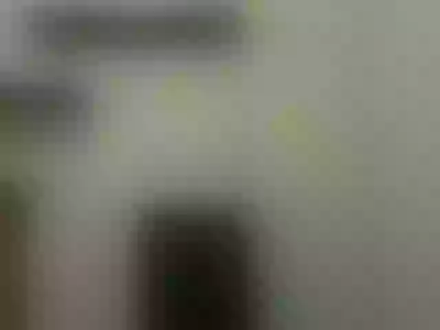 Live sex webcam photo for alphah-hunk #291867092