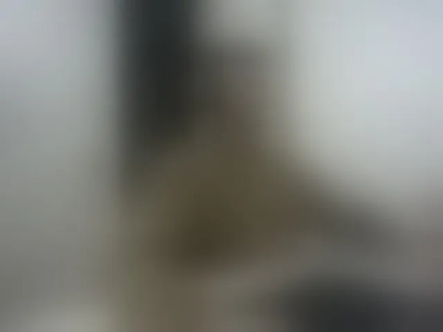 Live sex webcam photo for alphah-hunk #292533954