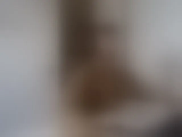 Live sex webcam photo for alphah-hunk #292583890
