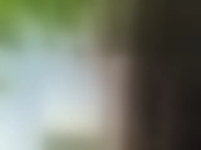 Live sex webcam photo for altertyan #293661562