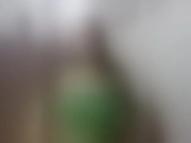 Live sex webcam photo for alzorys2434 #293385874