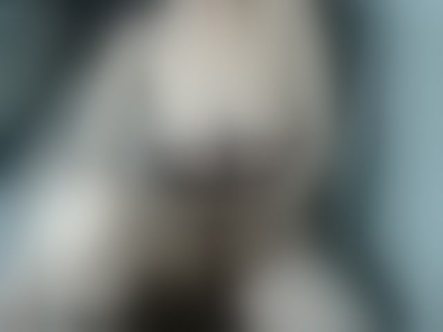 Live sex webcam photo for alzorys2434 #294204129