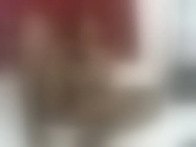 Live sex webcam photo for amandadaniels #292627572