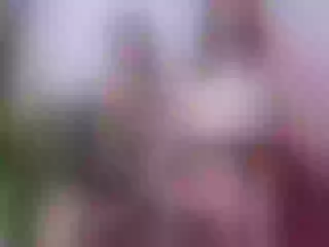 Live sex webcam photo for amandaxcattleya #292036224