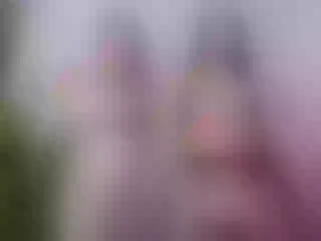 Live sex webcam photo for amandaxcattleya #292243262