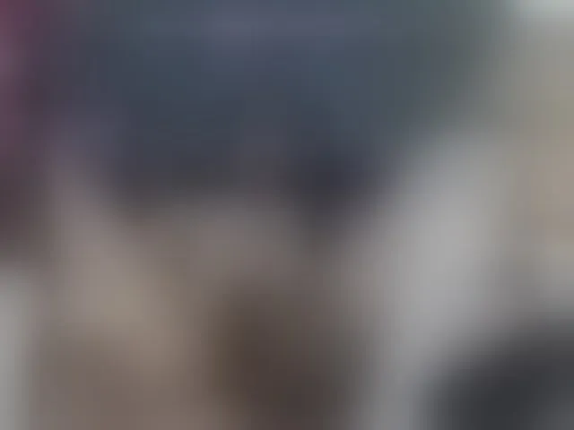 Live sex webcam photo for amapolahs #290296828
