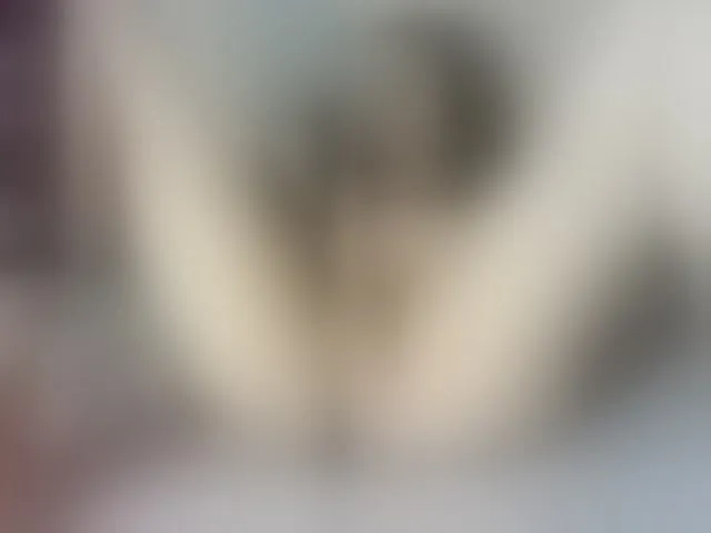 Live sex webcam photo for amapolahs #293262102