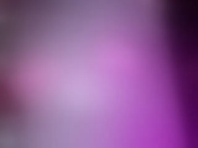Live sex webcam photo for amgeline #293812990