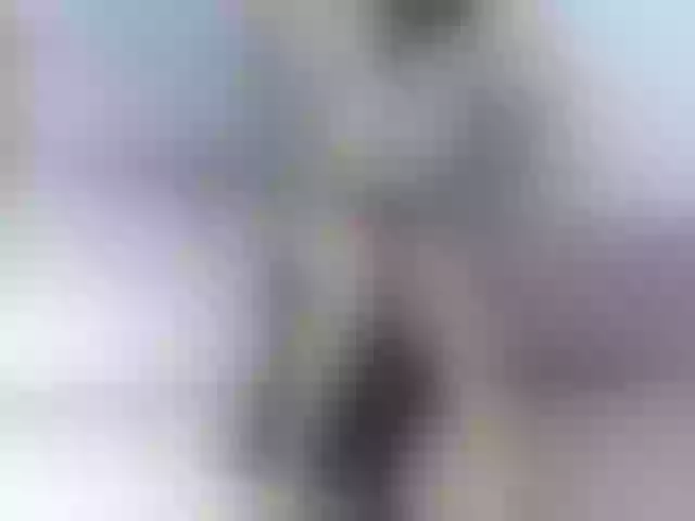 Live sex webcam photo for amina-hafssa #290735928