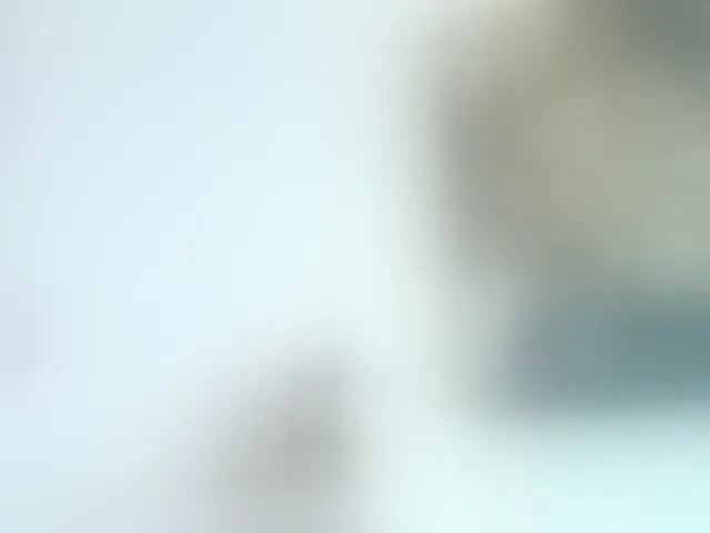 Live sex webcam photo for amina-hafssa #294137551