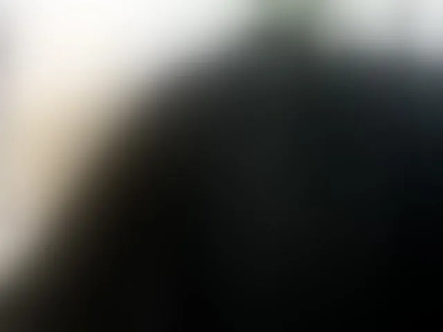 Live sex webcam photo for amina-hafssa #294192895