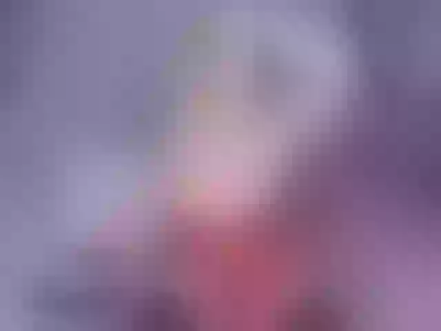 Live sex webcam photo for anabrown #291634564